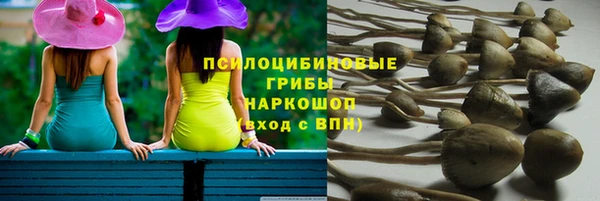 apvp Балахна