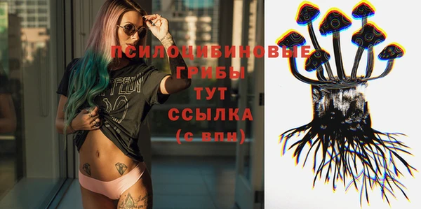 молекула духа Балабаново