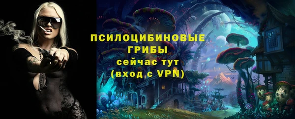 apvp Балахна