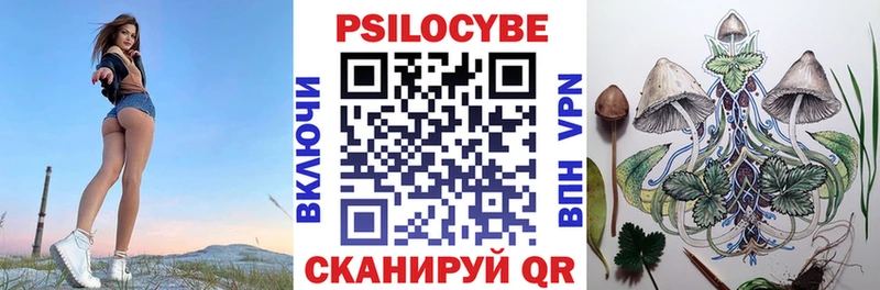 Галлюциногенные грибы Psilocybe  хочу   MEGA tor  Городовиковск 